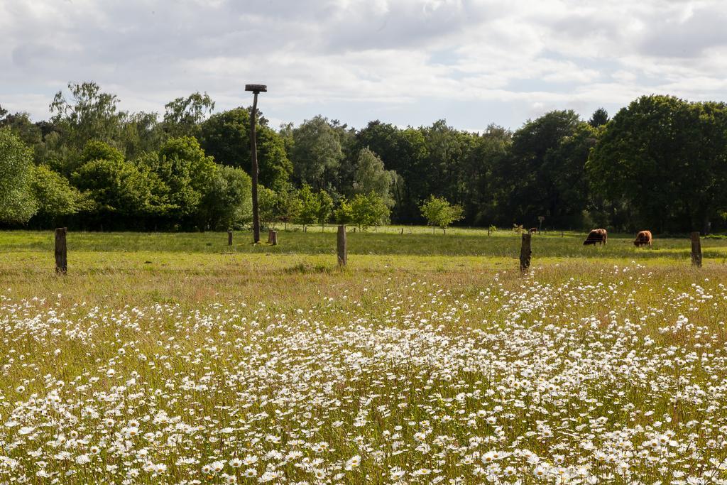 Hoeve Springendal Ootmarsum Exterior photo