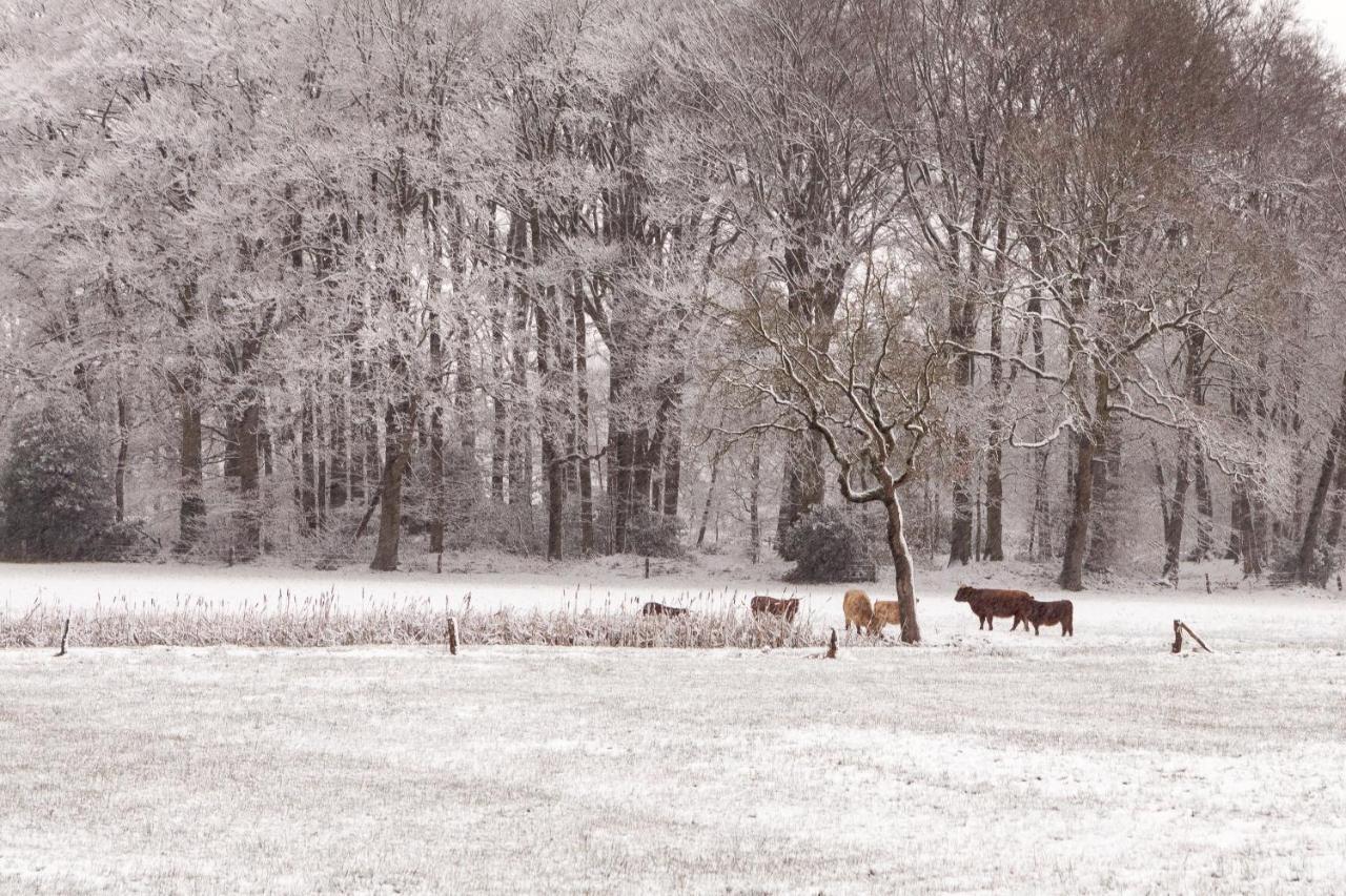 Hoeve Springendal Ootmarsum Exterior photo